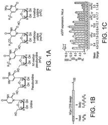 POLYNUCLEOTIDE SECONDARY STRUCTURE