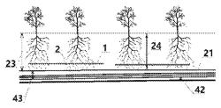 Soil moisture autocontrol system and its applications in subsurface irrigation, outer space agricultural farm, and converting of deserts into arable farms