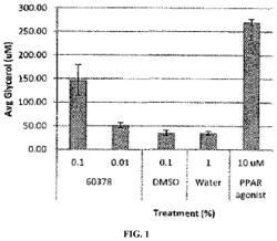 TOPICAL SKIN COMPOSITIONS FOR TREATING WRINKLES