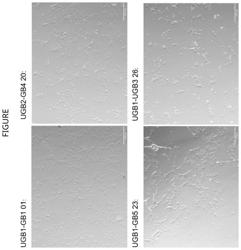 METHOD AND MATERIAL FOR DIFFERENTIATED SEQUESTRATION OF SUBSTANCES OF DIFFERENT SUBSTANCE GROUPS WITH THE AID OF HYDROGELS CONTAINING SULPHATED OR SULPHONATED COMPONENTS