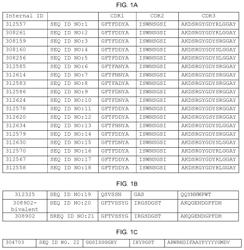 CD3 BINDING ANTIBODIES