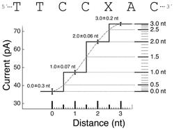 NANOPORE-BASED ANALYSIS OF PROTEIN CHARACTERISTICS