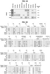 Neutralizing antibodies to gp120 and their use