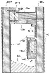 Light-emitting display device including a first pixel and a second pixel