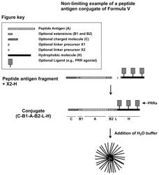 PEPTIDE-BASED VACCINES, METHODS OF MANUFACTURING, AND USES THEREOF FOR INDUCING AN IMMUNE RESPONSE