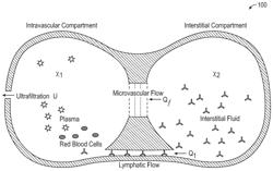 INDIVIDUALIZED ULTRAFILTRATION PROFILES IN DIALYSIS