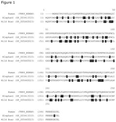 MULTISPECIFIC ANTIBODIES AGAINST CD40 AND CD137