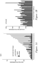 Tumor-selective combination therapy