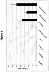 Homologous recombination in multipotent adult progenitor cells