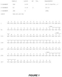 Antibodies Binding to ILT4