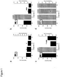 RNA Formulation for Immunotherapy