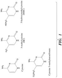 SELECTIVE OXIDATION OF 5-METHYLCYTOSINE BY TET-FAMILY PROTEINS