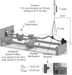 THREE DIMENSIONAL PRINTING MODALITY COMBINING FUSED DEPOSITION MODELING AND ELECTROSPINNING