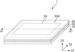 DISPLAY DEVICE