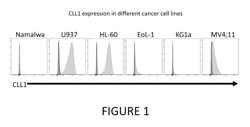 Chimeric receptors and methods of use thereof