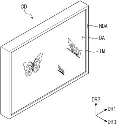 DISPLAY DEVICE