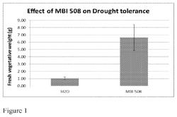 Method of inducing drought/salt tolerance using Bacillus megaterium