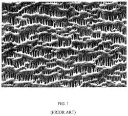 Direct electrolyte gelling via battery separator composition and structure