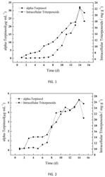 Method for rapidly characterizing content variations of triterpenoids in liquid fermentation process of