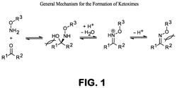 Additive systems for use in protein PEGylation