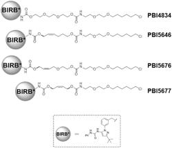 Cell-permeable, cell-compatible, and cleavable linkers for covalent tethering of functional elements