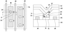 Light emitting device and fabricating method thereof