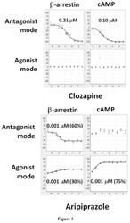 Dopamine D2 receptor ligands