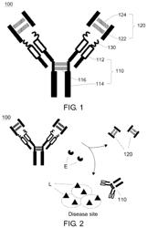 Antibody locker for the inactivation of protein drug