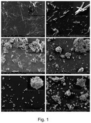 Chlorhexidine crystal forms and uses thereof in medicine