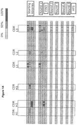 Anti-CD40 antibodies and methods of treating cancer having CD40+ tumor cells