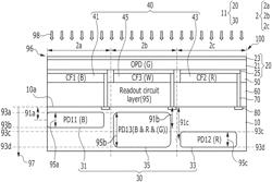 Image sensors and electronic devices including the same