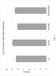 Synergistic formulation including at least one gibberellin compound and salicyclic acid