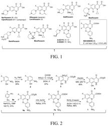 Bacterial topoisomerase I inhibitors with antibacterial activity