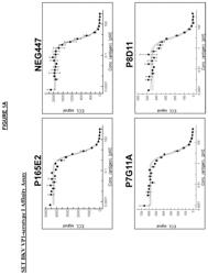 Polyomavirus neutralizing antibodies