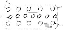 BIOACTIVE HONEY PRODUCTION ENVIRONMENT AND METHOD