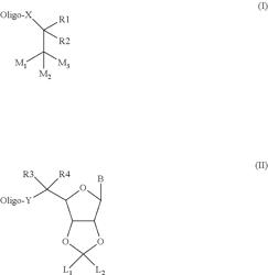 TETRAMOLECULAR PARALLEL G-QUADRUPLEX-FORMING HYDROPHOBICALLY MODIFIED OLIGONUCLEOTIDES