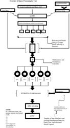 Computer program for computational and statistical analysis based on breadth first search software system linkage for optimal useful data-point patterns and probabilistic data determinants in search query results