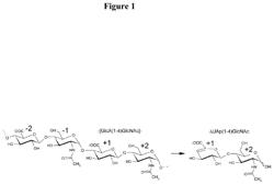 Detection of oligosaccharides