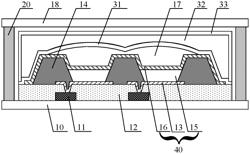 OLED panel having auxiliary cathode