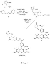 Composition and method for detecting hypoxia