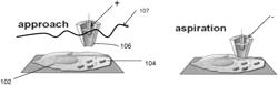 Nanopipette device and method for subcellular analysis