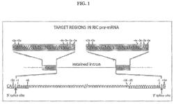 Targeted augmentation of nuclear gene output