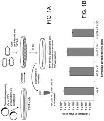 REPLICATION-COMPETENT VESICULAR STOMATITIS VIRUSES