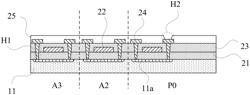 ARRAY SUBSTRATE, MANUFACTURING METHOD THEREOF, AND DISPLAY APPARATUS