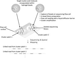 Spatial Indexing of Genetic Material and Library Preparation Using Hydrogel Beads and Flow Cells