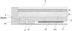 Backlight Module and Display Device