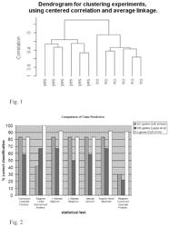 Methylation assay