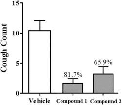 CHARGED ION CHANNEL BLOCKERS AND METHODS FOR USE THEREOF