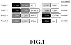 Compositions and Methods for Treating Cancer with DuoCARs