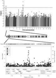 METHODS OF PREDICTING NON-RESPONSE TO ANTI-TNF TREATMENT IN SUBJECTS WITH INFLAMMATORY BOWEL DISEASE